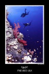 Buddy Partners - 10-17mm Tokina by Stew Smith 